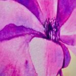Profile photo of EvelynT