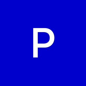 Profile photo of Parastoo