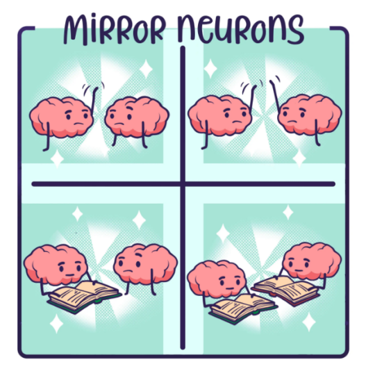 Mirror Neurons